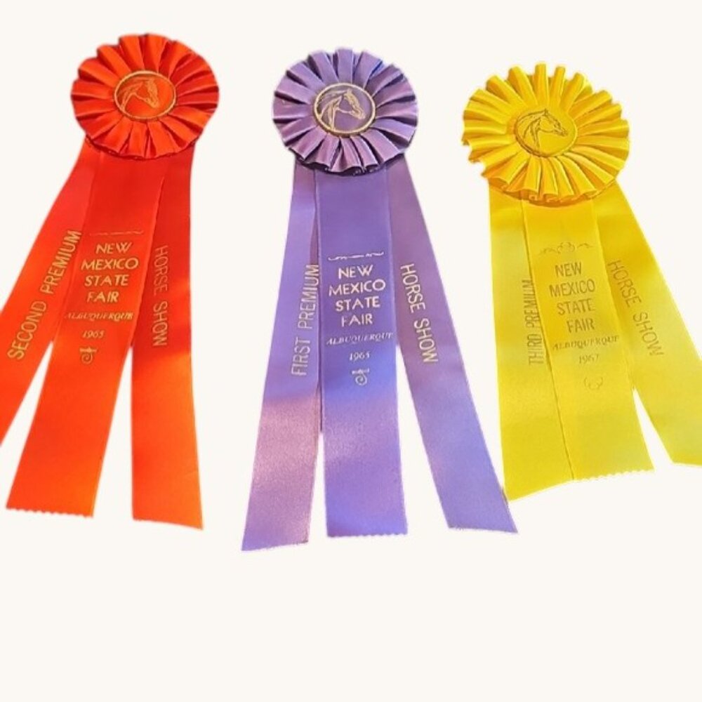 3 original from 1965 1967 NM Albuquerque State Fair Horse Show ribbons rosettes - Picture 2 of 13